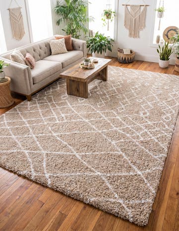 10' x 14' Moroccan Shag Rug