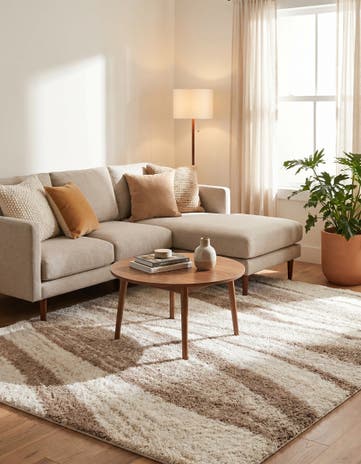 Beige and Ivory Soft Touch Shag Rug
