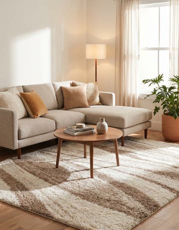 Beige and Ivory Soft Touch Shag Rug
