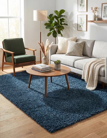 6' x 9' Zermatt Shag Rug