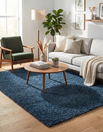6' x 9' Zermatt Shag Rug
