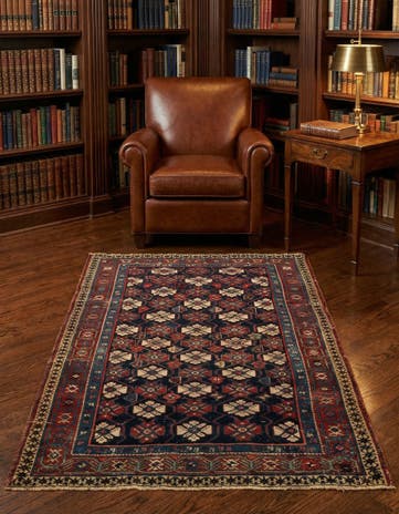 3' 7 x 5' 6 Shirvan Rug