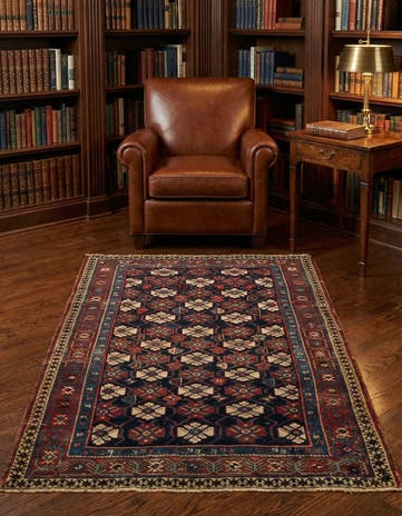 3' 7 x 5' 6 Shirvan Rug