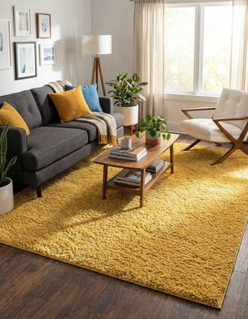9' x 12' Everyday Shag Rug