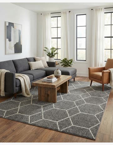 7' 10 x 11' Lattice Frieze Rug