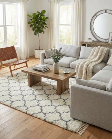  8' x 10' Athena Shag Rug