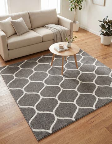5' 3 x 5' 3 Lattice Frieze Square Rug
