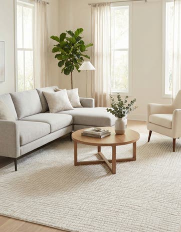 8' x 10' Textura Designer Rug
