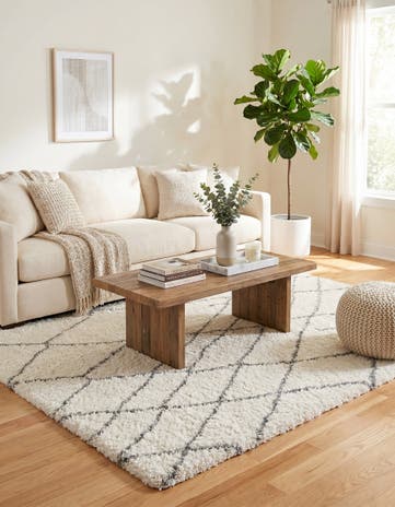 7' 10 x 10' Soft Touch Shag Rug