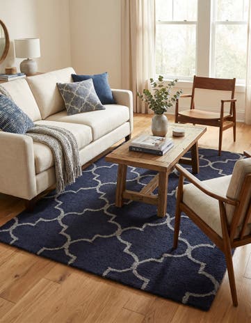 4' 1 x 6' Luna Rug