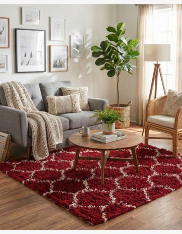 5' 3 x 5' 3 Trellis Shag Square Rug