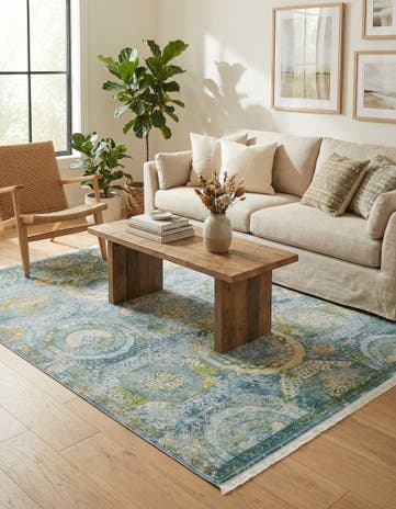 4' 3 x 6' Santiago Rug