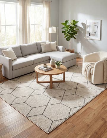 10' x 13' Lattice Frieze Rug