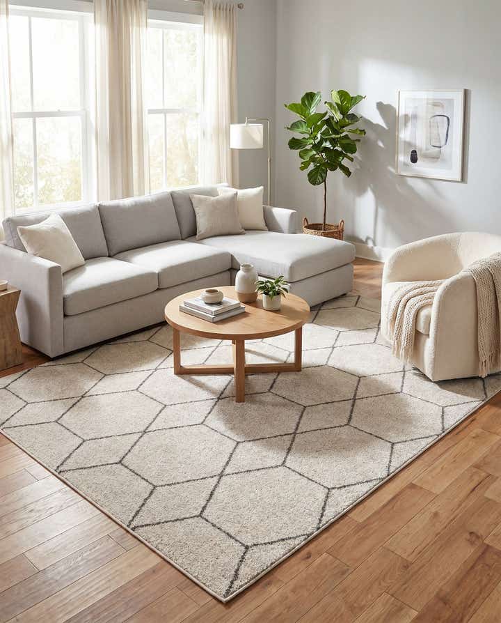 10' x 13' Lattice Frieze Rug