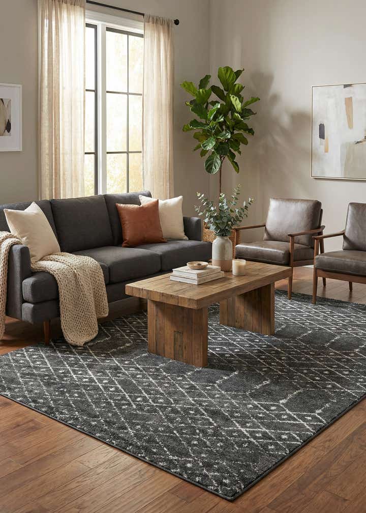7' x 10' Paxon Trellis Rug