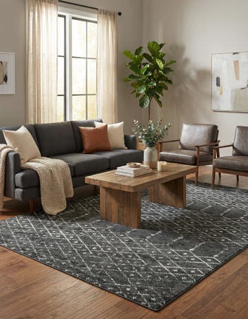 7' x 10' Paxon Trellis Rug
