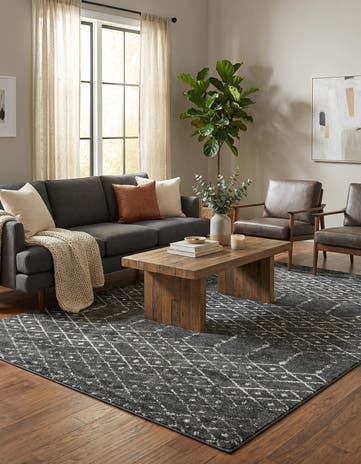 7' x 10' Paxon Trellis Rug