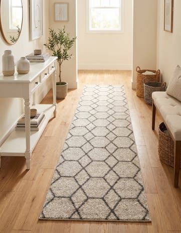 2' x 13' Lattice Frieze Runner Rug