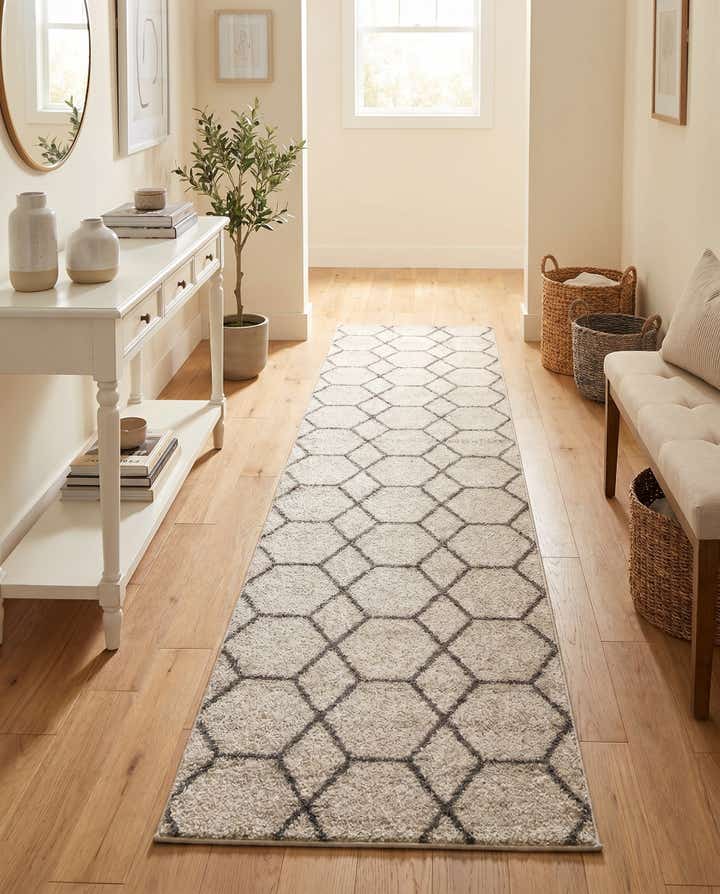 2' x 13' Lattice Frieze Runner Rug