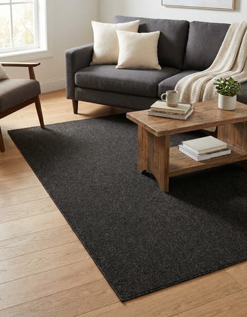 Charcoal Everyday Solid Rug