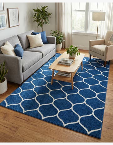 5' 3 x 8' Trellis Frieze Rug