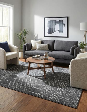 6' x 9' Paxon Trellis Rug