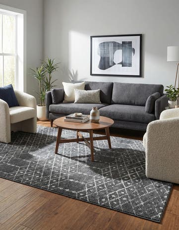 6' x 9' Paxon Trellis Rug