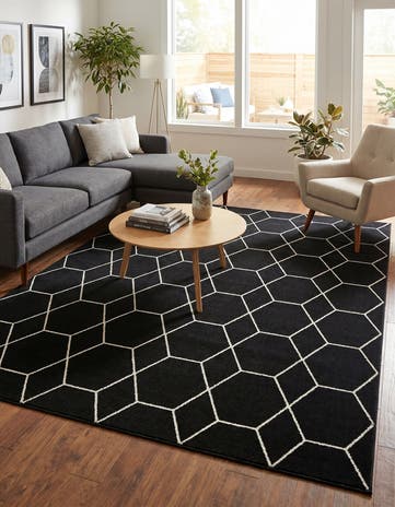 9' x 12' Lattice Frieze Rug