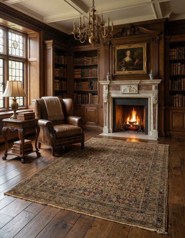 4' 1 x 6' 4 Malayer Rug