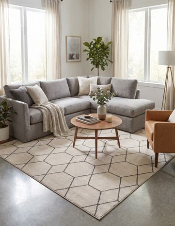 10' x 10' Lattice Frieze Square Rug