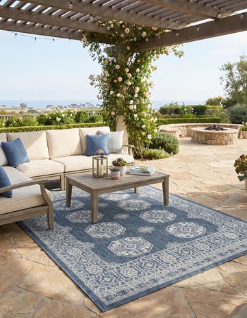 Blue Easy-Clean Traditional Indoor / Outdoor Rug