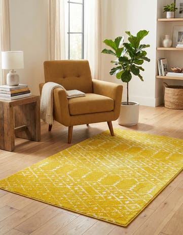 3' 3 x 5' 3 Paxon Trellis Rug