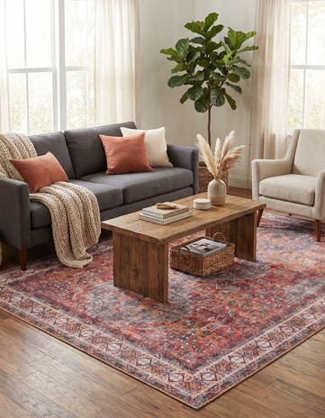 5' 1 x 8' Washable Timeless Rug