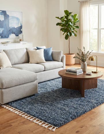 5' x 8' Athena Shag Rug