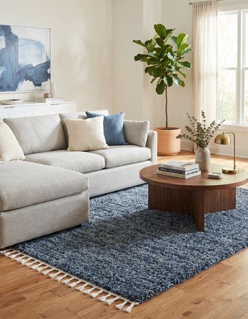 5' x 8' Athena Shag Rug