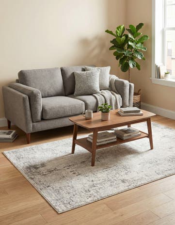 4' x 6' Caspian Rug