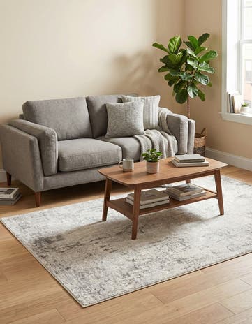 4' x 6' Caspian Rug