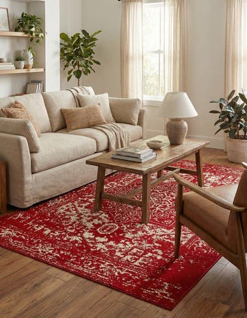 5' 3 x 8' Arlington Rug