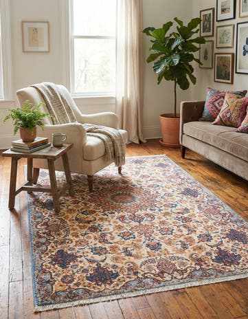 3' 11 x 5' 11 Boutique Rug