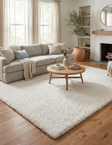 7' 10 x 11' Zermatt Shag Rug