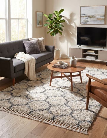 5' x 8' Athena Shag Rug