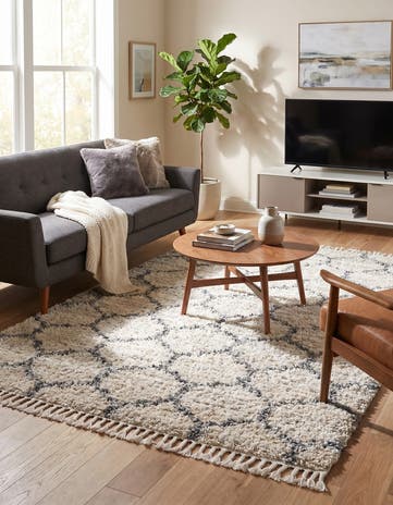 5' x 8' Athena Shag Rug