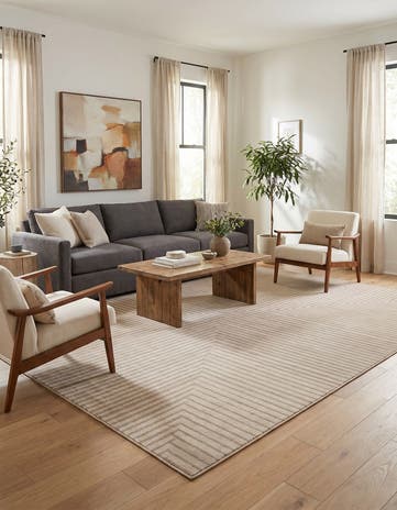 10' x 14' Contour Rug