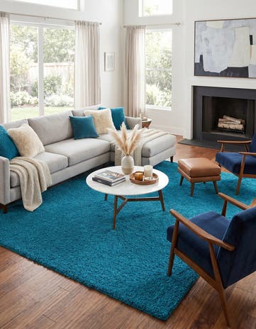 10' x 13' Solid Shag Rug
