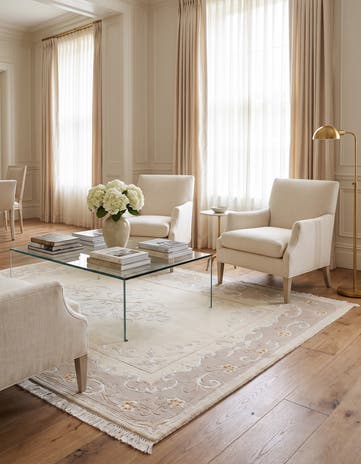 4' x 5' 11 Darya Rug