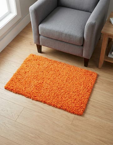 2' x 3' Solid Shag Rug