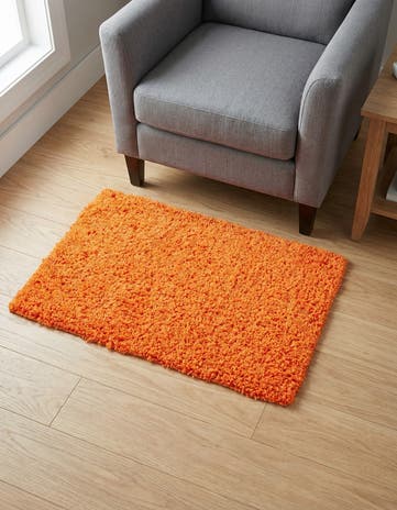 2' x 3' Solid Shag Rug
