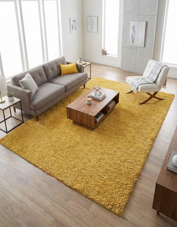 10' x 14' Everyday Shag Rug