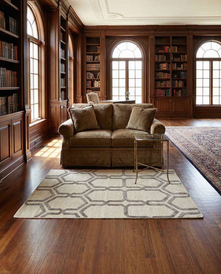 3' 9 x 5' 9 Hand Knotted Darya Rug