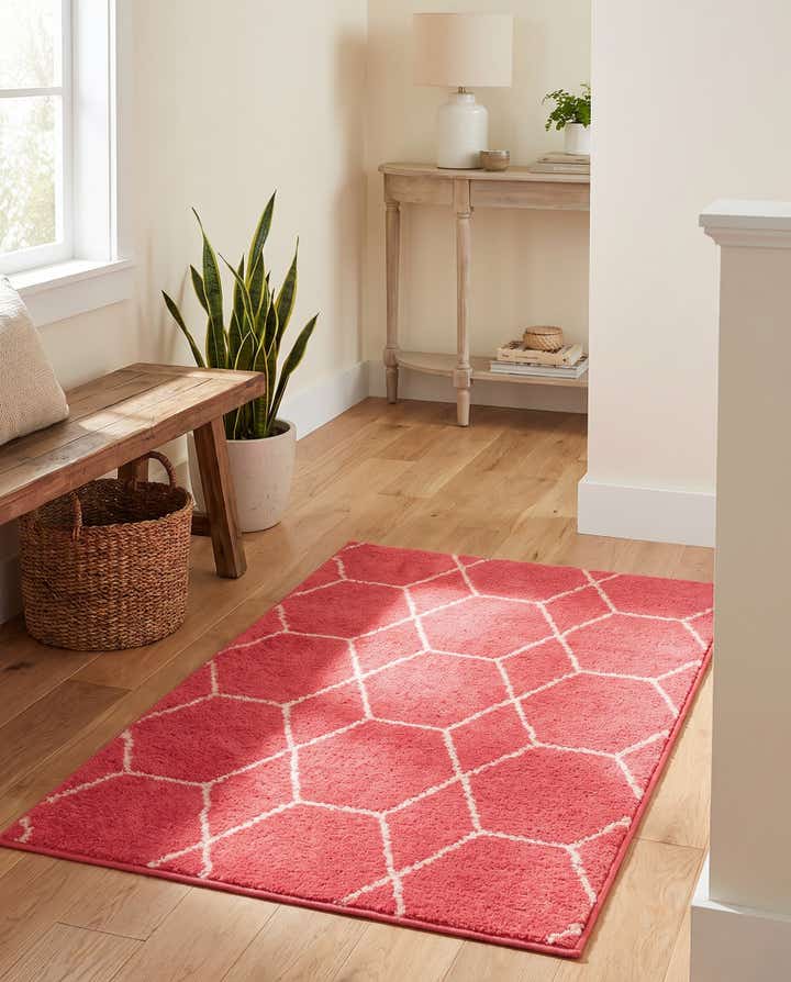 60cm x 95cm Trellis Frieze Alfombra
